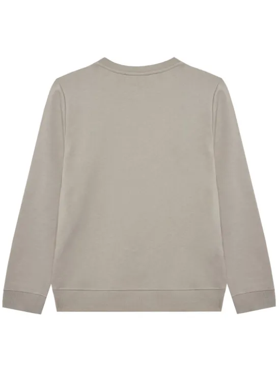 Calvin Klein Jeans Bluza Inst Logo IU0IU00680 D Szary Regular Fit