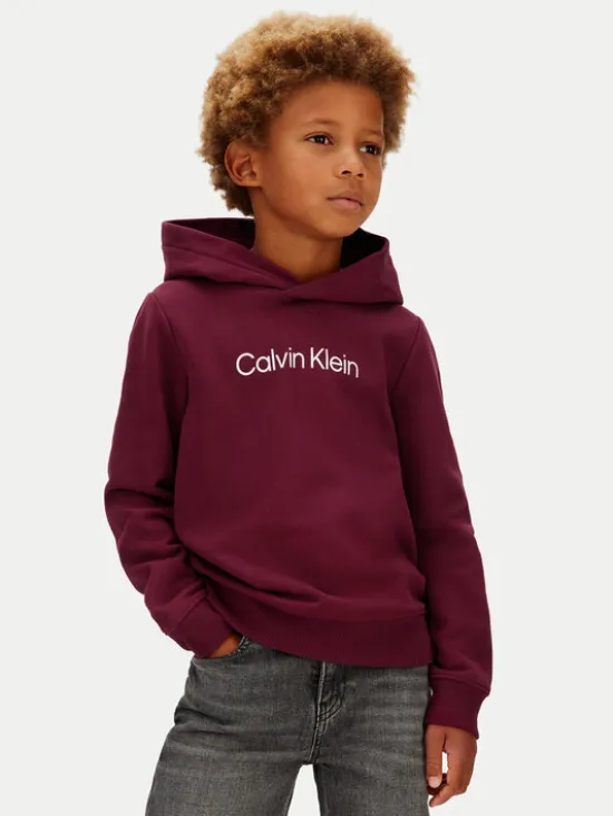 Calvin Klein Jeans Bluza IU0IU00679 Fioletowy Regular Fit