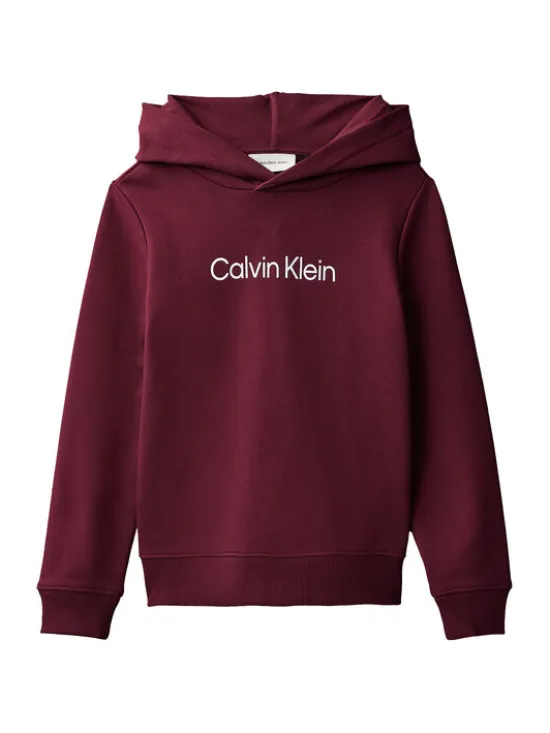 Calvin Klein Jeans Bluza IU0IU00679 Fioletowy Regular Fit