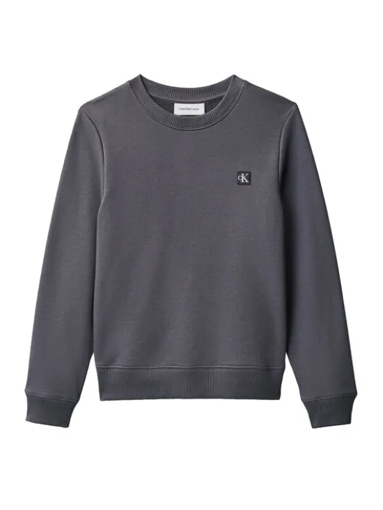 Calvin Klein Jeans Bluza Mono Mini Badge IU0IU00570 Szary Regular Fit