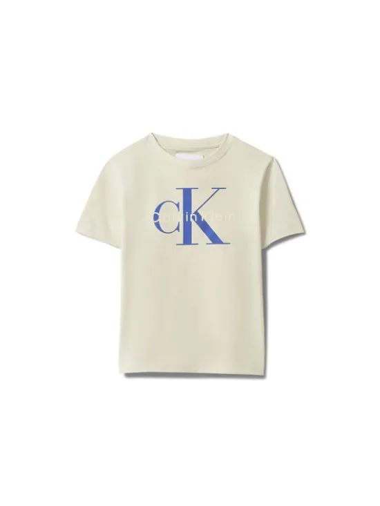 Calvin Klein Jeans T-Shirt Monologo LV1CKSJA33 Szary Regular Fit