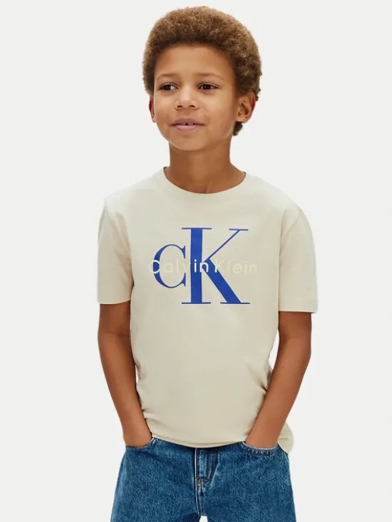Calvin Klein Jeans T-Shirt Monologo LV1CKSJA33 Szary Regular Fit