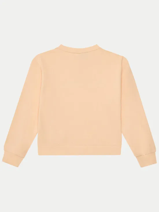 Champion Bluza 405086 Pomarańczowy Regular Fit