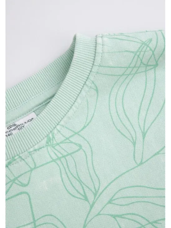 Coccodrillo Bluza WC5132101TGJ-011 Zielony Regular Fit