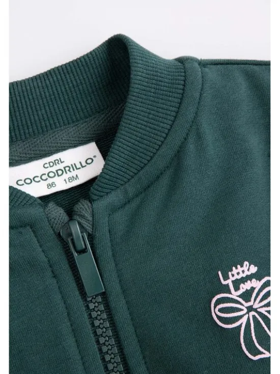 Coccodrillo Bluza ZC5132204HGN-011 Zielony Regular Fit