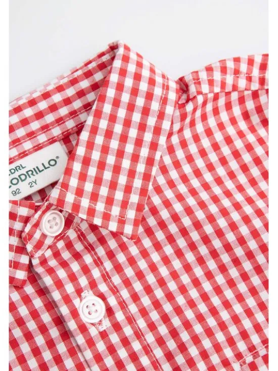 Coccodrillo Koszula ZC5136101EBB-022 Kolorowy Regular Fit