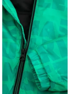 Coccodrillo Kurtka przejściowa WC6152704OBK-011 Zielony Regular Fit