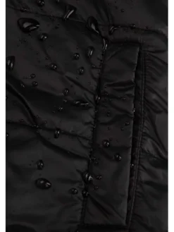 Coccodrillo Kurtka przejściowa ZC5152501OGJ-022 Kolorowy Regular Fit