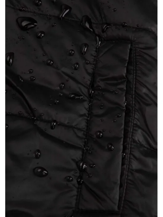 Coccodrillo Kurtka przejściowa ZC5152501OGJ-022 Kolorowy Regular Fit