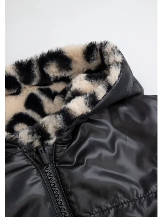 Coccodrillo Kurtka przejściowa ZC6152501OGJ-022 Kolorowy Regular Fit
