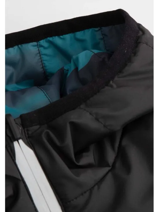 Coccodrillo Kurtka przejściowa ZC6152501OBJ-022 Kolorowy Regular Fit