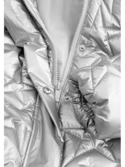 Coccodrillo Kurtka zimowa ZC6152105OGJ-024 Srebrny Regular Fit