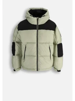 Coccodrillo Kurtka zimowa ZC5152101OBJ-011 Zielony Regular Fit