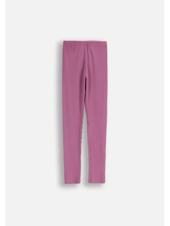 Coccodrillo Legginsy ZC5122101WGJ-016 Fioletowy