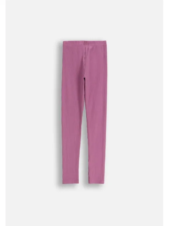 Coccodrillo Legginsy ZC5122101WGJ-016 Fioletowy