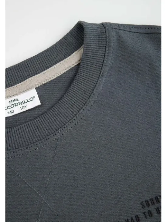 Coccodrillo Longsleeve WC6143102RBJ-020 Szary Regular Fit