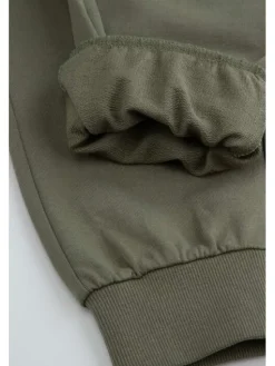 Coccodrillo Spodnie dresowe WC6120101FBK-011 Zielony Regular Fit