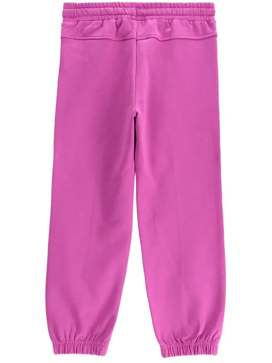 Coccodrillo Spodnie dresowe WC5120101RGK Różowy Regular Fit