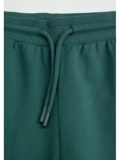 Coccodrillo Spodnie dresowe ZC6122701VBA-011 Zielony Regular Fit