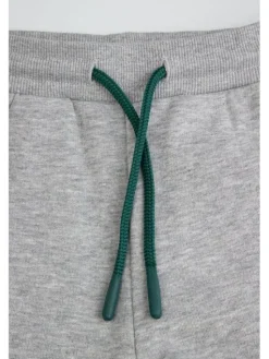 Coccodrillo Spodnie dresowe ZC5120102ABK-019 Szary Regular Fit