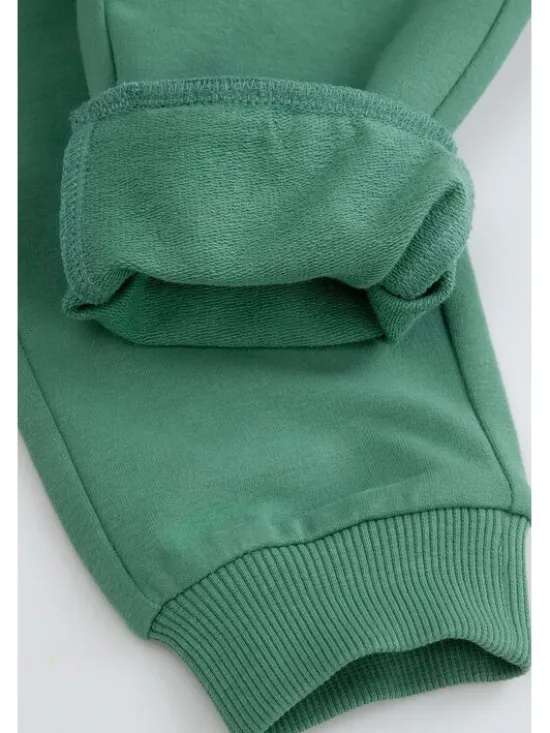 Coccodrillo Spodnie dresowe ZC5120101FBN-011 Zielony Regular Fit