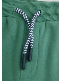 Coccodrillo Spodnie dresowe ZC5120101FBN-011 Zielony Regular Fit