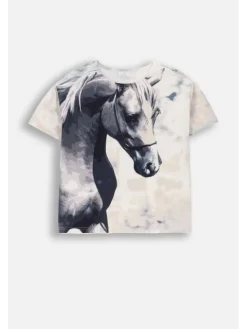 Coccodrillo T-Shirt WC6143201GGJ-022 Kolorowy Regular Fit