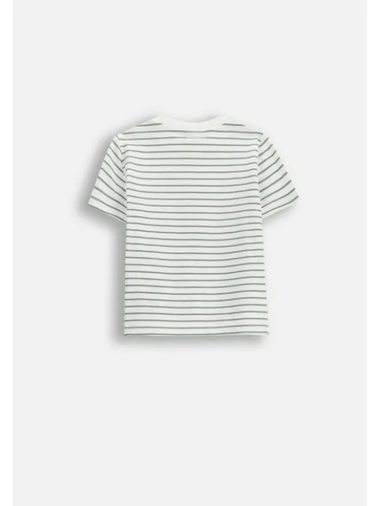 Coccodrillo T-Shirt WC6143203IBN-003 Kremowy Regular Fit