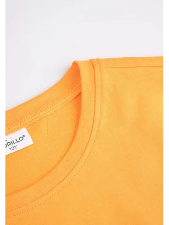 Coccodrillo T-Shirt WC6143205JGJ-006 Pomarańczowy Regular Fit