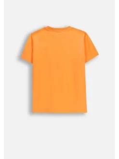Coccodrillo T-Shirt WC6143203RBJ-006 Pomarańczowy Regular Fit