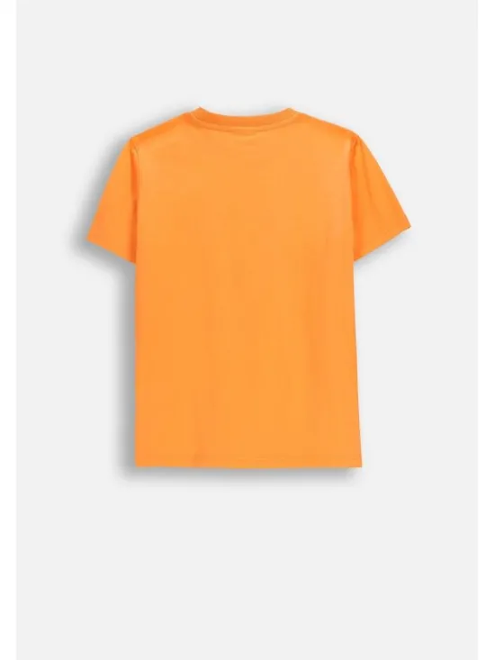 Coccodrillo T-Shirt WC6143203RBJ-006 Pomarańczowy Regular Fit