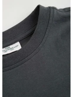 Coccodrillo T-Shirt WC6143202RBJ-020 Szary Regular Fit