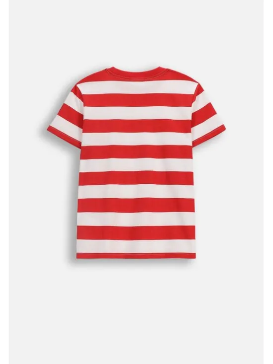 Coccodrillo T-Shirt WC6143236VBA-009 Czerwony Regular Fit