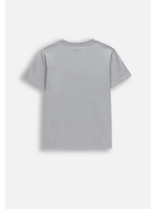 Coccodrillo T-Shirt WC6143209VBA-019 Szary Regular Fit