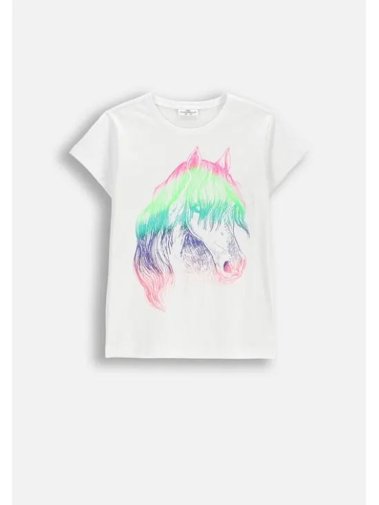 Coccodrillo T-Shirt WC6143209VGB-001 Biały Regular Fit