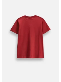 Coccodrillo T-Shirt ZC6143202ABJ-017 Bordowy Regular Fit