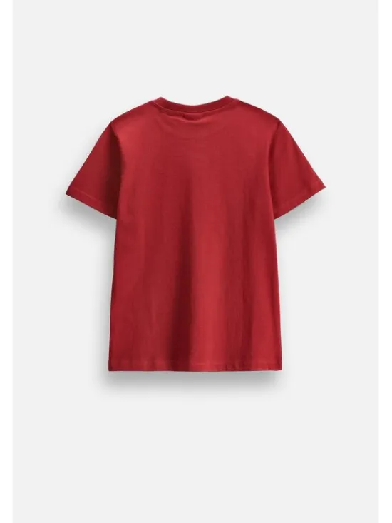 Coccodrillo T-Shirt ZC6143202ABJ-017 Bordowy Regular Fit