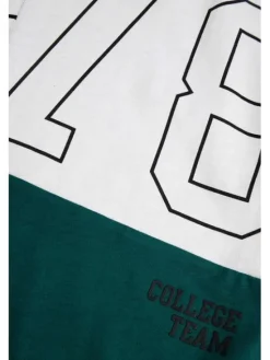 Coccodrillo T-Shirt ZC5143201ABJ-022 Kolorowy Regular Fit
