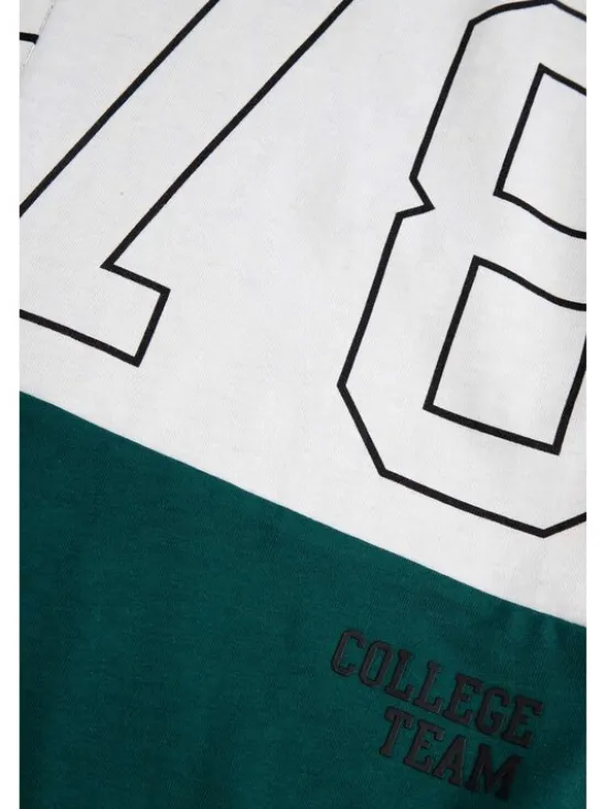 Coccodrillo T-Shirt ZC5143201ABJ-022 Kolorowy Regular Fit