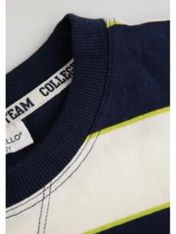 Coccodrillo T-Shirt ZC5143204ABJ-022 Kolorowy Regular Fit
