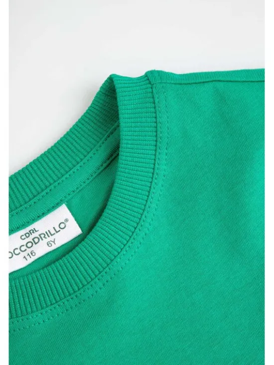 Coccodrillo T-Shirt ZC6143203ABK-011 Zielony Regular Fit