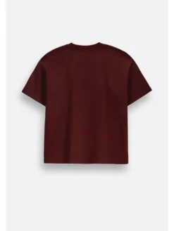 Coccodrillo T-Shirt ZC6143202FGJ-017 Bordowy Regular Fit