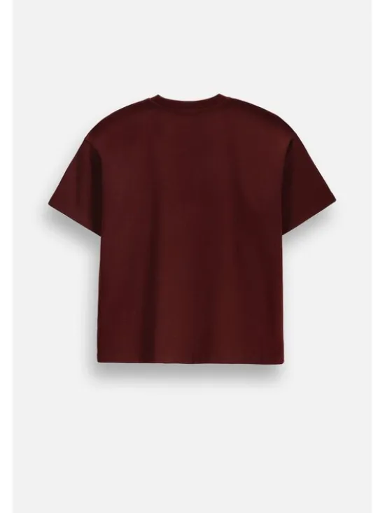 Coccodrillo T-Shirt ZC6143202FGJ-017 Bordowy Regular Fit