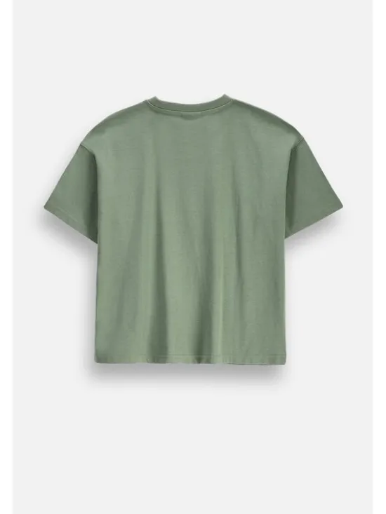 Coccodrillo T-Shirt ZC6143202FGJ-027 Khaki Regular Fit