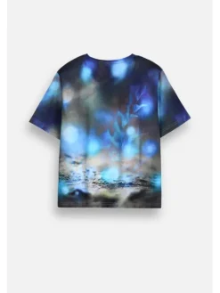 Coccodrillo T-Shirt ZC6143201FGJ-022 Kolorowy Regular Fit