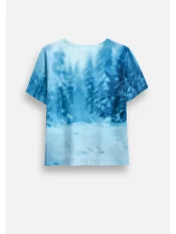 Coccodrillo T-Shirt ZC6143202FGK-022 Kolorowy Regular Fit