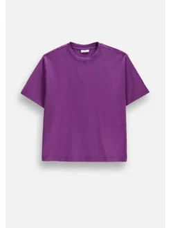 Coccodrillo T-Shirt ZC6143204HGJ-016 Fioletowy Regular Fit