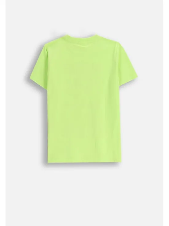 Coccodrillo T-Shirt ZC5143216LBD-030 Żółty Regular Fit