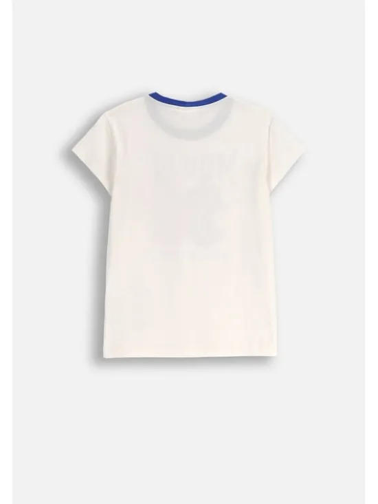 Coccodrillo T-Shirt ZC5143203LGD-003 Écru Regular Fit