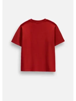 Coccodrillo T-Shirt ZC6143203RBK-017 Bordowy Regular Fit